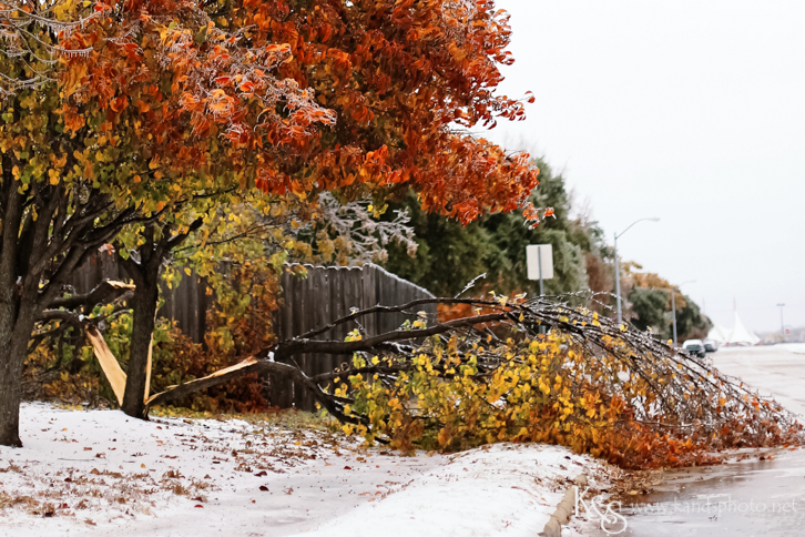 Dallas Wedding Photographers - K & S Photography